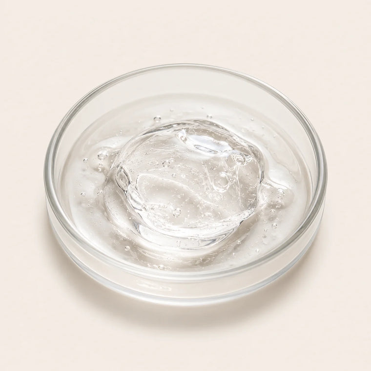 Hyaluronsäure in der Petrischale